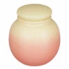 Paddywax Orb 141g Sparkling Hibiscus Ombre Frosted Glass Soy Candle -Yankee Candle Shop dw collective orb0506eu paddywax orb sparkling hibiscus soy candle 1