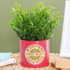 The Beatles Sergeant Pepper 10cm Plant Pot -Yankee Candle Shop half moon bay plntbts04 the beatles sergeant pepper plant pot