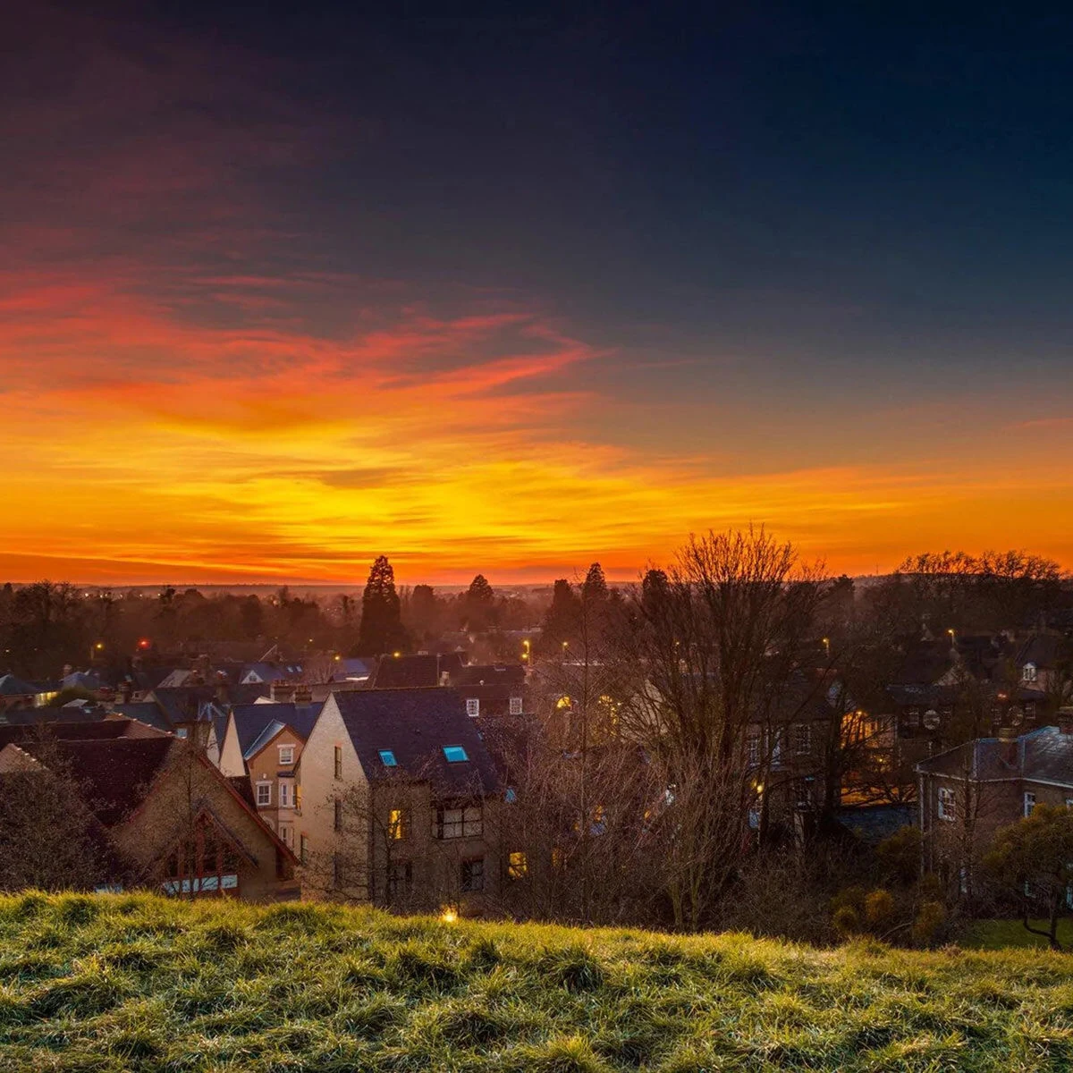 Home County Candle Co. The Cambridgeshire - Cassis & Black Vanilla Reed Diffuser 4 Home County Candle Co. The Cambridgeshire - Cassis & Black Vanilla Reed Diffuser - Image 2