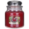 Yankee Candle Red Raspberry Medium Jar Candle 1 Yankee Candle Red Raspberry Medium Jar Candle -Yankee Candle Shop yankee candle 1323187 red raspberry medium jar candle